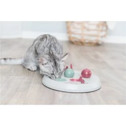 TRIXIE Cat Activity Flip Board Cat Toy 9 TRIXIE Cat Activity Flip Board Cat Toy -Pet Supplies Store 334173 PT2. AC SS1800 V1633548983