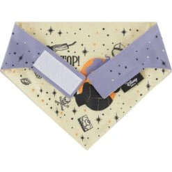 Disney Hocus Pocus Reversible Dog & Cat Bandana 12 Disney Hocus Pocus Reversible Dog & Cat Bandana -Pet Supplies Store 334706 PT6. AC SS1800 V1657656875