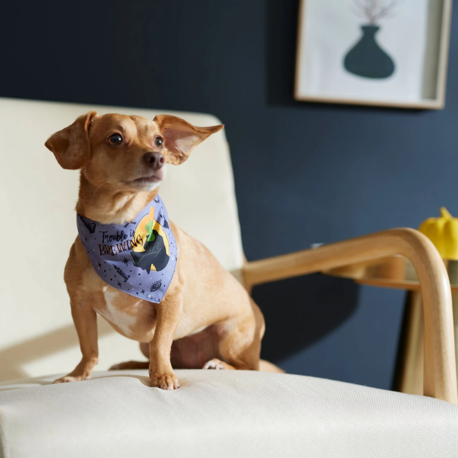 Disney Hocus Pocus Reversible Dog & Cat Bandana 8 Disney Hocus Pocus Reversible Dog & Cat Bandana - Image 6