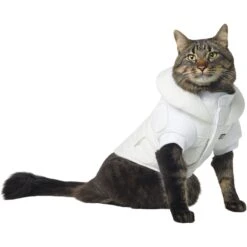 STAR WARS PRINCESS LEIA HOTH Dog & Cat Puffer Jacket 10 STAR WARS PRINCESS LEIA HOTH Dog & Cat Puffer Jacket -Pet Supplies Store 335219 PT2. AC SS1800 V1657656946
