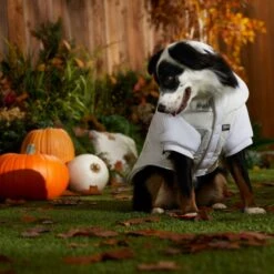 STAR WARS PRINCESS LEIA HOTH Dog & Cat Puffer Jacket 13 STAR WARS PRINCESS LEIA HOTH Dog & Cat Puffer Jacket -Pet Supplies Store 335219 PT8. AC SS1800 V1657656945