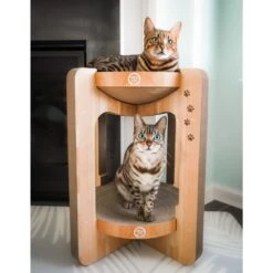 Necoichi Cozy Cat Scratcher Tower Toy 17 Necoichi Cozy Cat Scratcher Tower Toy -Pet Supplies Store 336322 PT6. AC SS1800 V1674730088