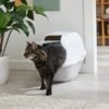 Frisco Modern Hooded Cat Litter Box -Pet Supplies Store 341985 MAIN. AC SS1800 V1642605052