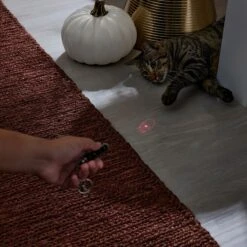 Frisco Halloween Skull Laser Cat Toy 10 Frisco Halloween Skull Laser Cat Toy -Pet Supplies Store 344068 PT3. AC SS1800 V1659279988