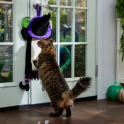 Frisco Halloween Witch Doorknob Hanger Cat Toy With Catnip 10 Frisco Halloween Witch Doorknob Hanger Cat Toy With Catnip -Pet Supplies Store 344092 PT3. AC SS1800 V1657657035