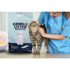 Alpha Paw Genius Litter With Health Indicator Cat Litter, 6-lbs 12 Alpha Paw Genius Litter With Health Indicator Cat Litter, 6-lbs -Pet Supplies Store 344555 PT2. AC SS1800 V1667331285