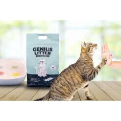Alpha Paw Genius Litter With Health Indicator Cat Litter, 6-lbs 16 Alpha Paw Genius Litter With Health Indicator Cat Litter, 6-lbs -Pet Supplies Store 344555 PT7. AC SS1800 V1667331826