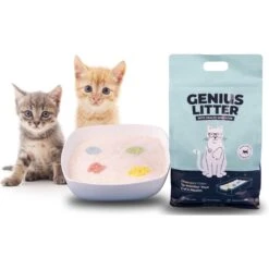 Alpha Paw Genius Litter With Health Indicator Cat Litter, 6-lbs 17 Alpha Paw Genius Litter With Health Indicator Cat Litter, 6-lbs -Pet Supplies Store 344555 PT8. AC SS1800 V1667333254