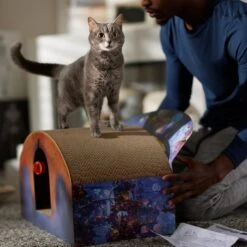 Pixar Coco Marigold Bridge Scratcher Cat Toy 10 Pixar Coco Marigold Bridge Scratcher Cat Toy -Pet Supplies Store 344557 PT3. AC SS1800 V1689878513