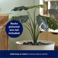 Frisco Hidden Planter Cat Litter Box, 16-in 12 Frisco Hidden Planter Cat Litter Box, 16-in -Pet Supplies Store 345566 PT4. AC SS1800 V1668737273