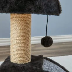 Two By Two The Camellia Sisal Cat Tree, Small, Black -Pet Supplies Store 346901 PT8. AC SS1800 V1638313380