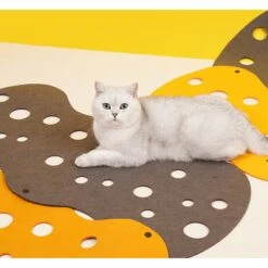 ZEZE "The Cheese" Adjustable Tunnel Cat Toy -Pet Supplies Store 347443 PT5. AC SS1800 V1657657091