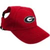 Littlearth NCAA Dog & Cat Baseball Hat -Pet Supplies Store 349662 MAIN. AC SS1800 V1640065309