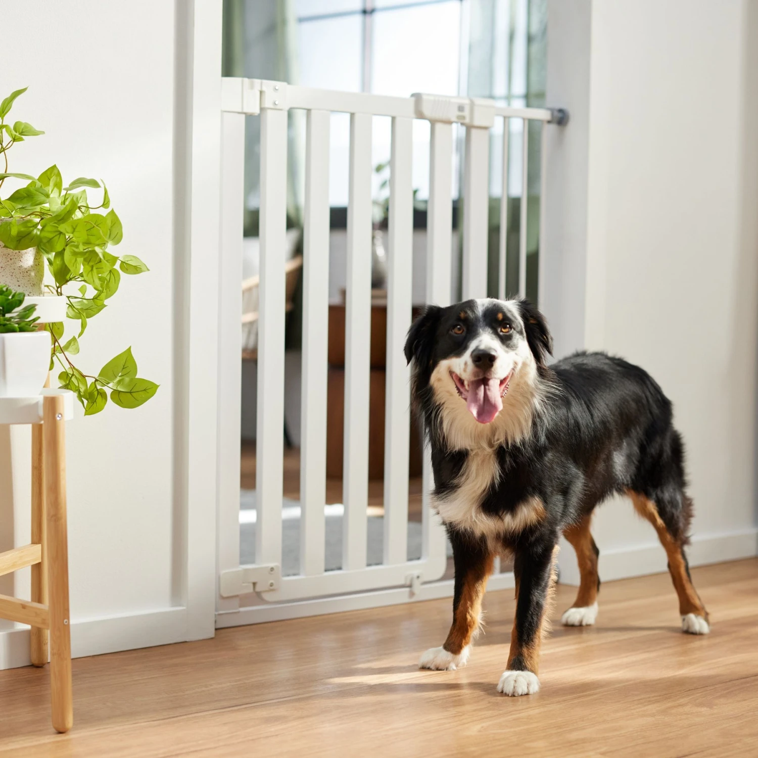 Frisco Wood & Metal Extra Tall Auto-close Dog Gate 3 Frisco Wood & Metal Extra Tall Auto-close Dog Gate