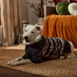 Frisco Gray Chevron Print Dog & Cat Sweater 16 Frisco Gray Chevron Print Dog & Cat Sweater -Pet Supplies Store 353555 PT7. AC SS1800 V1660749506