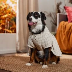 Frisco Tweed Weave Ruffle Skirt Dog & Cat Dress -Pet Supplies Store 353649 PT6. AC SS1800 V1660750168