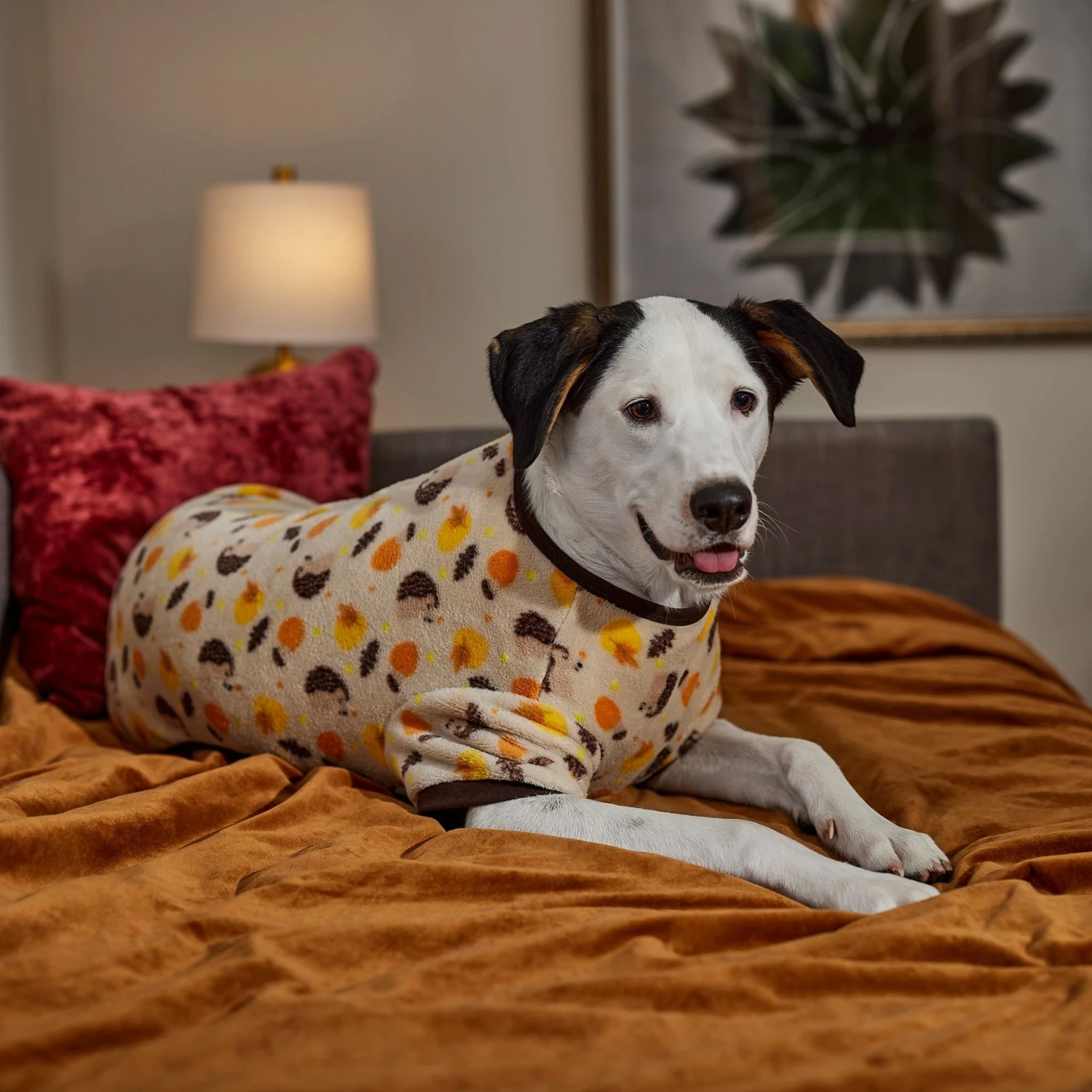 Frisco Hedgehog Dog & Cat Fleece Pajamas 8 Frisco Hedgehog Dog & Cat Fleece Pajamas - Image 6