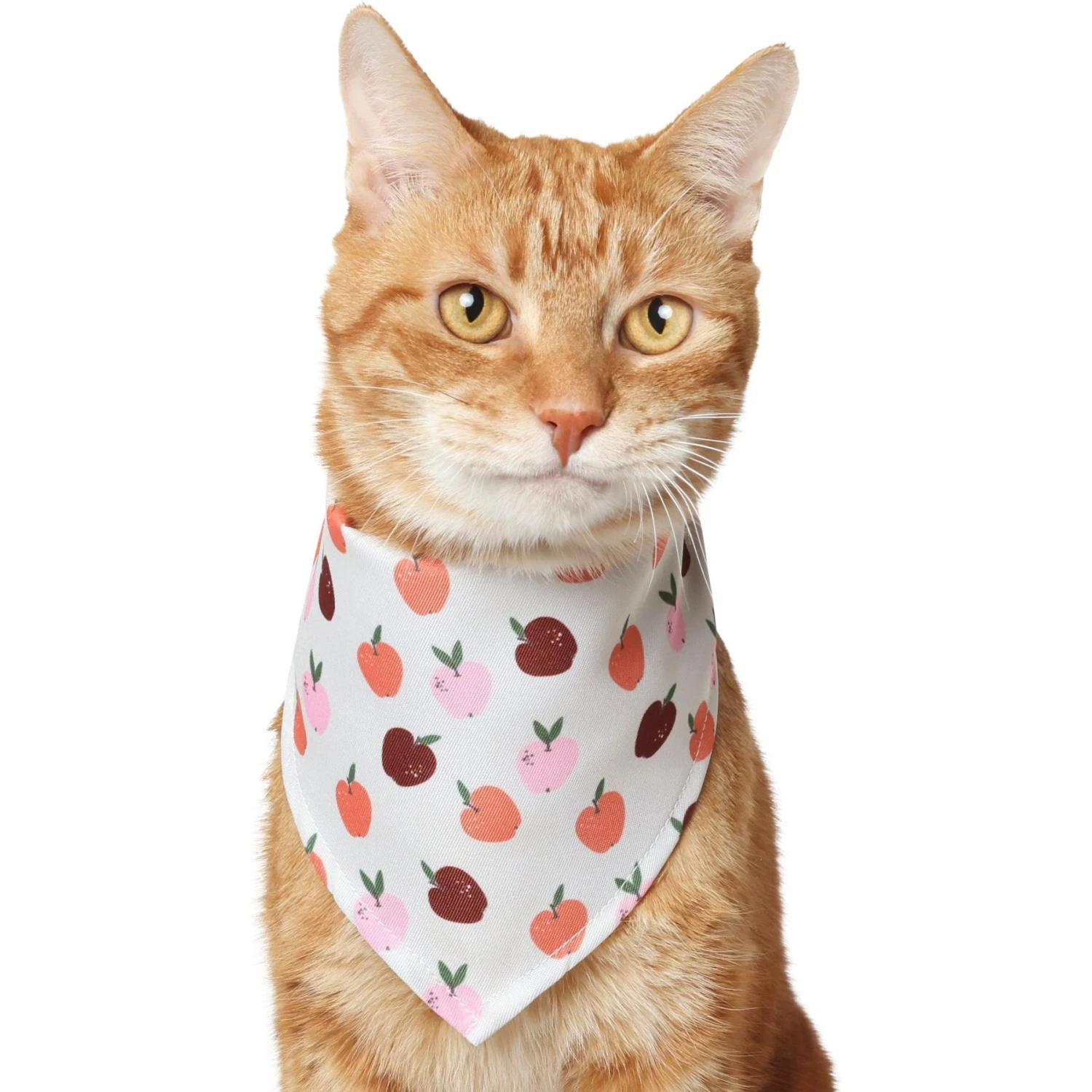 Frisco Apple Dog & Cat Bandana 3 Frisco Apple Dog & Cat Bandana