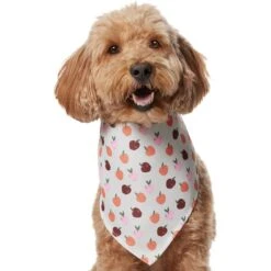 Frisco Apple Dog & Cat Bandana 12 Frisco Apple Dog & Cat Bandana -Pet Supplies Store 353786 PT2. AC SS1800 V1661275129