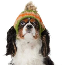 Frisco Striped Poof Dog & Cat Knitted Hat 10 Frisco Striped Poof Dog & Cat Knitted Hat -Pet Supplies Store 353793 PT2. AC SS1800 V1659008241