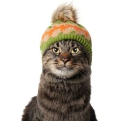 Frisco Striped Poof Dog & Cat Knitted Hat 11 Frisco Striped Poof Dog & Cat Knitted Hat -Pet Supplies Store 353793 PT3. AC SS1800 V1659011014