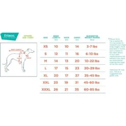 Frisco Lightweight Varsity Dog & Cat Jacket -Pet Supplies Store 353861 PT1. AC SS1800 V1658923601