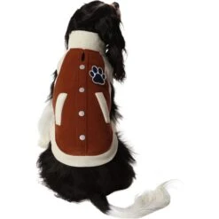 Frisco Lightweight Varsity Dog & Cat Jacket -Pet Supplies Store 353861 PT2. AC SS1800 V1659010873