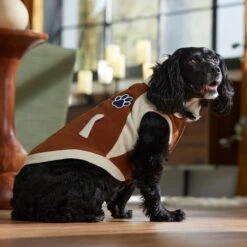 Frisco Lightweight Varsity Dog & Cat Jacket -Pet Supplies Store 353861 PT7. AC SS1800 V1660749417