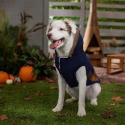 Frisco Mid-Heavyweight Plaid Fleece Lined Dog & Cat Coat -Pet Supplies Store 353885 PT7. AC SS1800 V1660749836