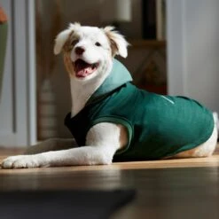 Frisco Lightweight Classic Dog & Cat Coat -Pet Supplies Store 353901 PT7. AC SS1800 V1660749440