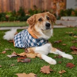 Disney Mediumweight Minnie Quilted Dog & Cat Puffer Coat -Pet Supplies Store 354020 PT8. AC SS1800 V1660749505