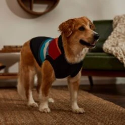 STAR WARS Retro Fleece Dog & Cat Hoodie 15 STAR WARS Retro Fleece Dog & Cat Hoodie -Pet Supplies Store 354027 PT8. AC SS1800 V1660750163