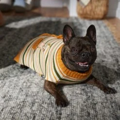 Disney Winnie The Pooh Dog & Cat Faux Cardigan 15 Disney Winnie The Pooh Dog & Cat Faux Cardigan -Pet Supplies Store 354036 PT7. AC SS1800 V1660749564