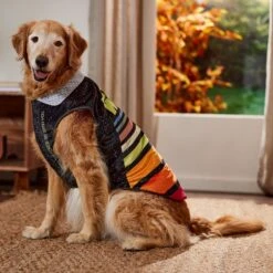 STAR WARS Lightweight Retro Dog & Cat Fleece Vest -Pet Supplies Store 354052 PT7. AC SS1800 V1660749933