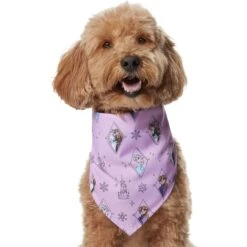 Disney Frozen Pattern Dog & Cat Bandana -Pet Supplies Store 354062 PT2. AC SS1800 V1658955245