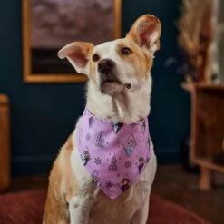 Disney Frozen Pattern Dog & Cat Bandana -Pet Supplies Store 354062 PT6. AC SS1800 V1660750168