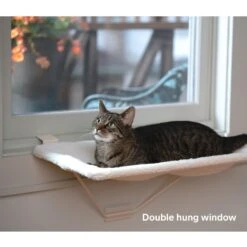 Prevue Pet Products Tabby Napper Cat Window Perch Kit 13 Prevue Pet Products Tabby Napper Cat Window Perch Kit -Pet Supplies Store 354636 PT2. AC SS1800 V1662064770
