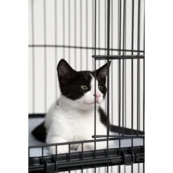 Prevue Pet Products Cat Cage Replacement Shelf 14 Prevue Pet Products Cat Cage Replacement Shelf -Pet Supplies Store 354652 PT3. AC SS1800 V1662065985