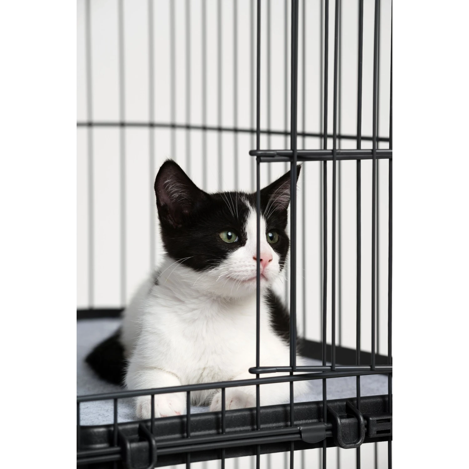 Prevue Pet Products Cat Cage Replacement Shelf 6 Prevue Pet Products Cat Cage Replacement Shelf - Image 4