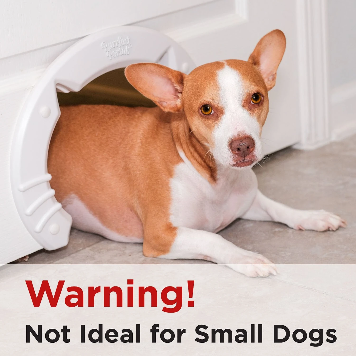 Purrfect Portal Interior Cat Door, X-Large 6 Purrfect Portal Interior Cat Door, X-Large - Image 4