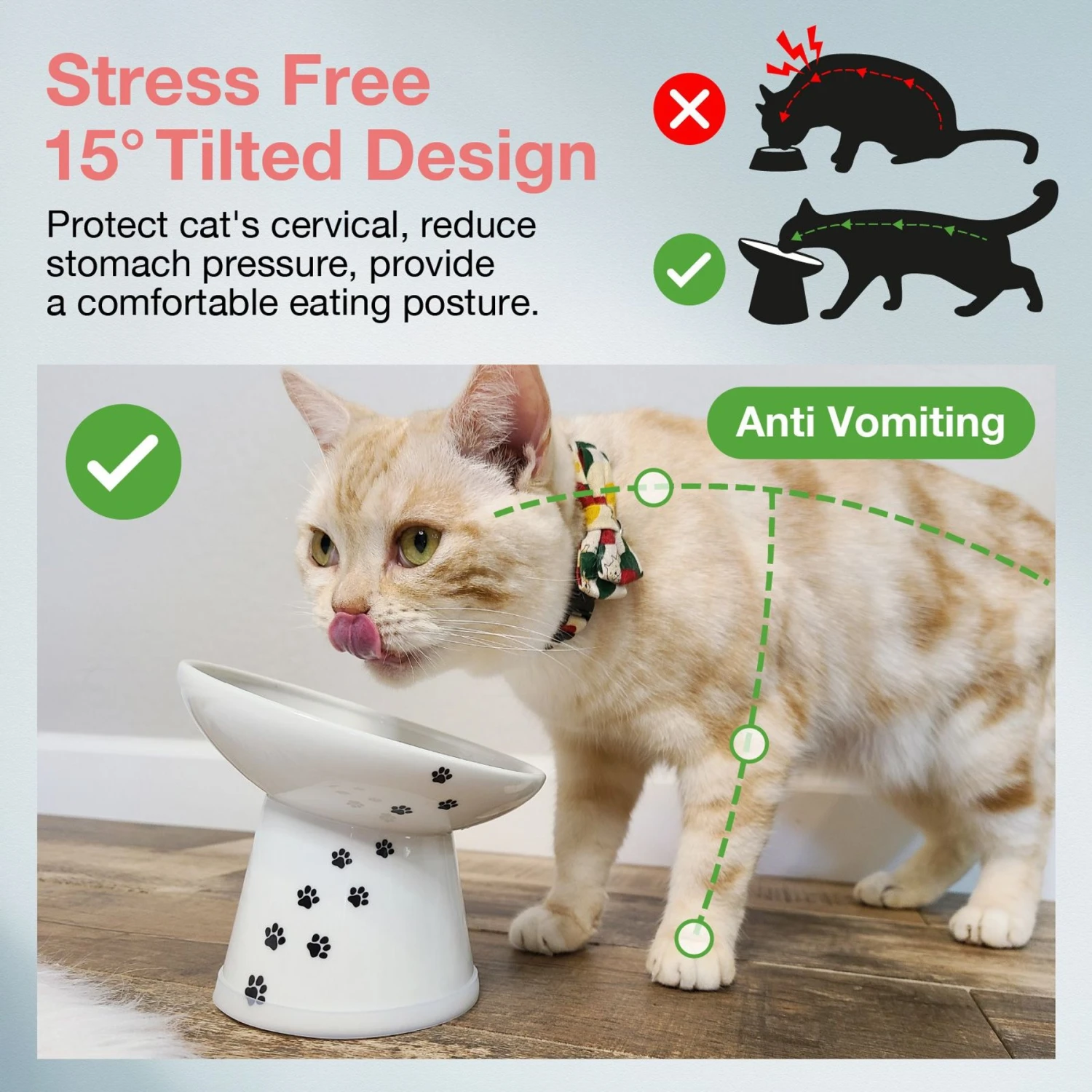 Necoichi Tilted Stress Free Raised Cat Food Bowl 4 Necoichi Tilted Stress Free Raised Cat Food Bowl - Image 2