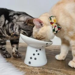 Necoichi Tilted Stress Free Raised Cat Food Bowl 16 Necoichi Tilted Stress Free Raised Cat Food Bowl -Pet Supplies Store 357117 PT6. AC SS1800 V1700515632