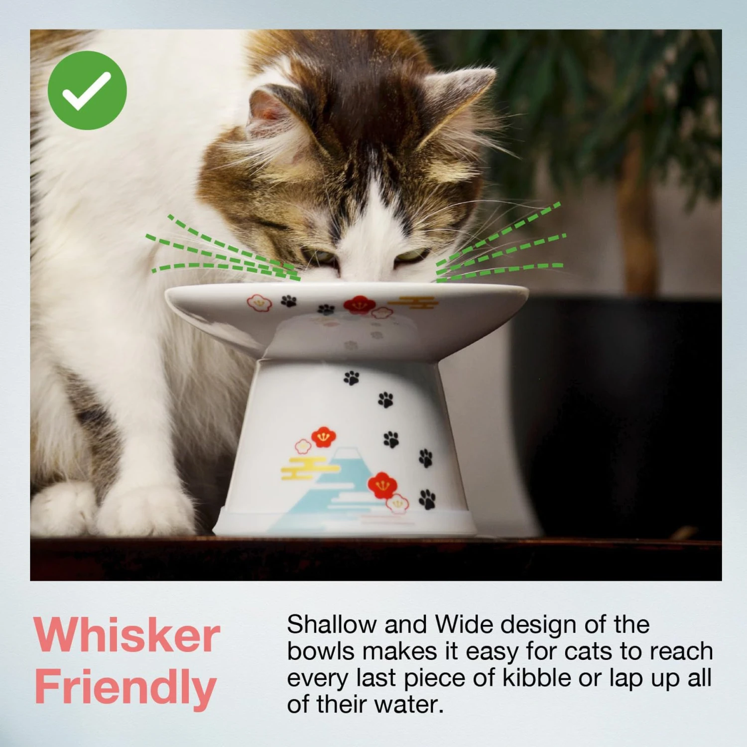 Necoichi Extra Wide Raised Cat Food Bowl 5 Necoichi Extra Wide Raised Cat Food Bowl - Image 3