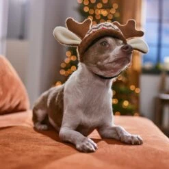 Frisco Antler Fair Isle Dog & Cat Hat 12 Frisco Antler Fair Isle Dog & Cat Hat -Pet Supplies Store 358313 PT4. AC SS1800 V1661798696