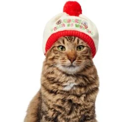 STAR WARS Knit Dog & Cat Hat 9 STAR WARS Knit Dog & Cat Hat -Pet Supplies Store 358443 PT2. AC SS1800 V1660703930