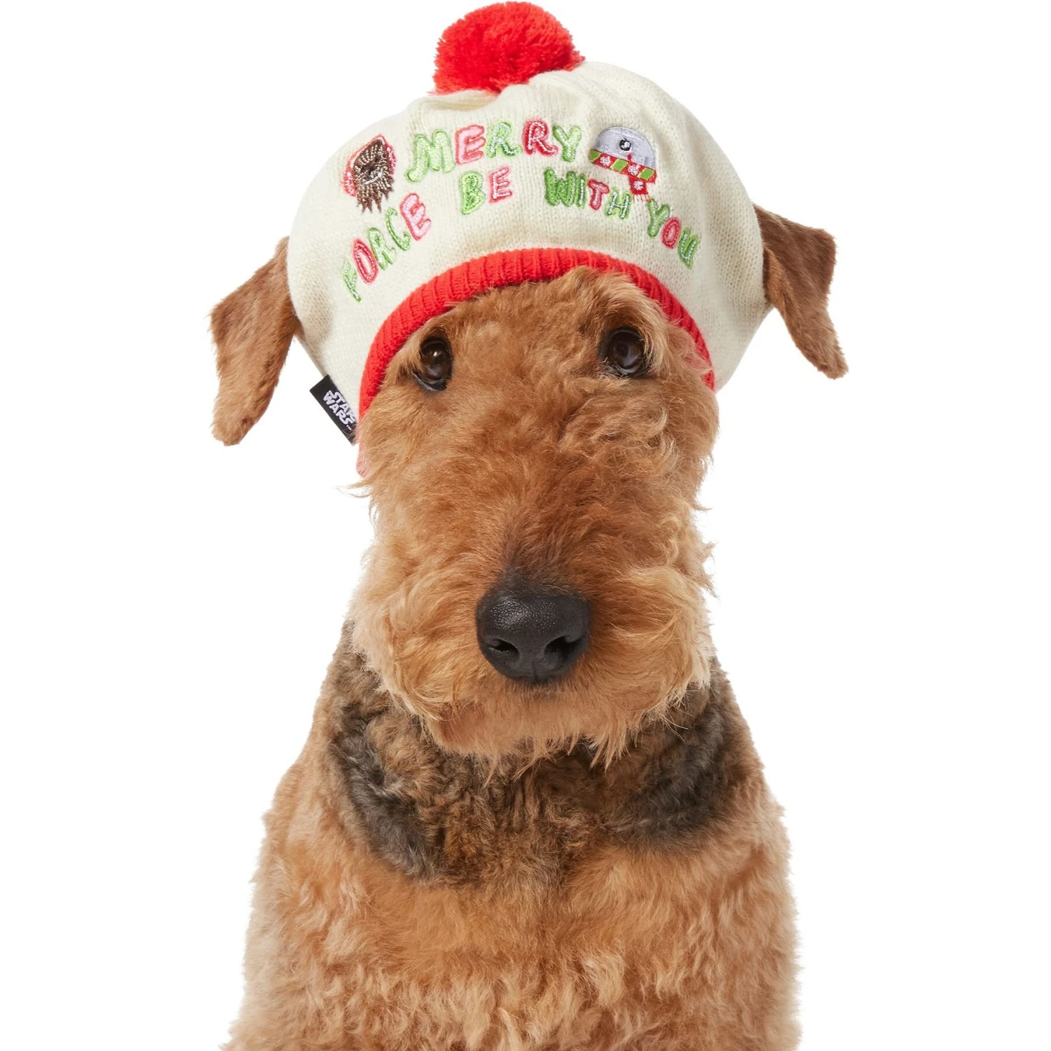 STAR WARS Knit Dog & Cat Hat 6 STAR WARS Knit Dog & Cat Hat - Image 4