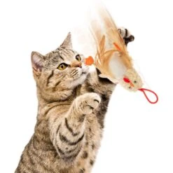 Petlinks Flying Chicken Electronic Sound Launcher Cat Toy, Natural, Medium -Pet Supplies Store 362902 PT4. AC SS1800 V1642648364