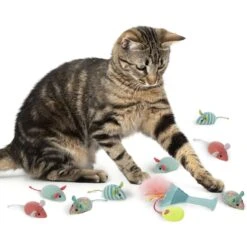 SmartyKat Tropical Time Catnip Cat Toy Variety Pack, Skitter Mice & Catnip Martini, Pink, Small, 9 Count 8 SmartyKat Tropical Time Catnip Cat Toy Variety Pack, Skitter Mice & Catnip Martini, Pink, Small, 9 Count -Pet Supplies Store 362936 PT2. AC SS1800 V1694027438