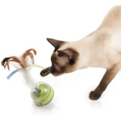 SmartyKat Silly Spinner Electronic Motion & Light Cat Toy, Blue, Large 13 SmartyKat Silly Spinner Electronic Motion & Light Cat Toy, Blue, Large -Pet Supplies Store 362940 PT4. AC SS1800 V1642651930