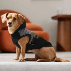 Frisco Army Camo Dog & Cat Hoodie -Pet Supplies Store 368774 PT7. AC SS1800 V1664994217